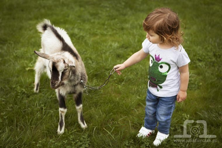 dziecięce sesje zdjęciowe śląsk