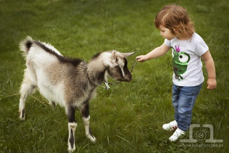 dziecięce sesje zdjęciowe śląsk