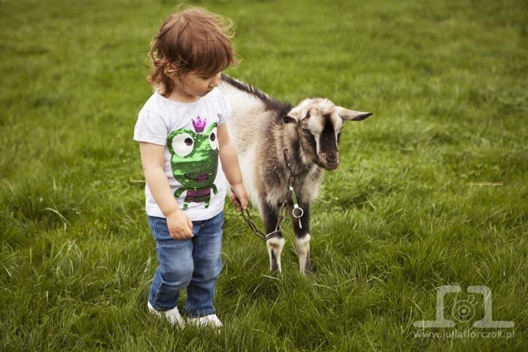 dziecięce sesje zdjęciowe śląsk