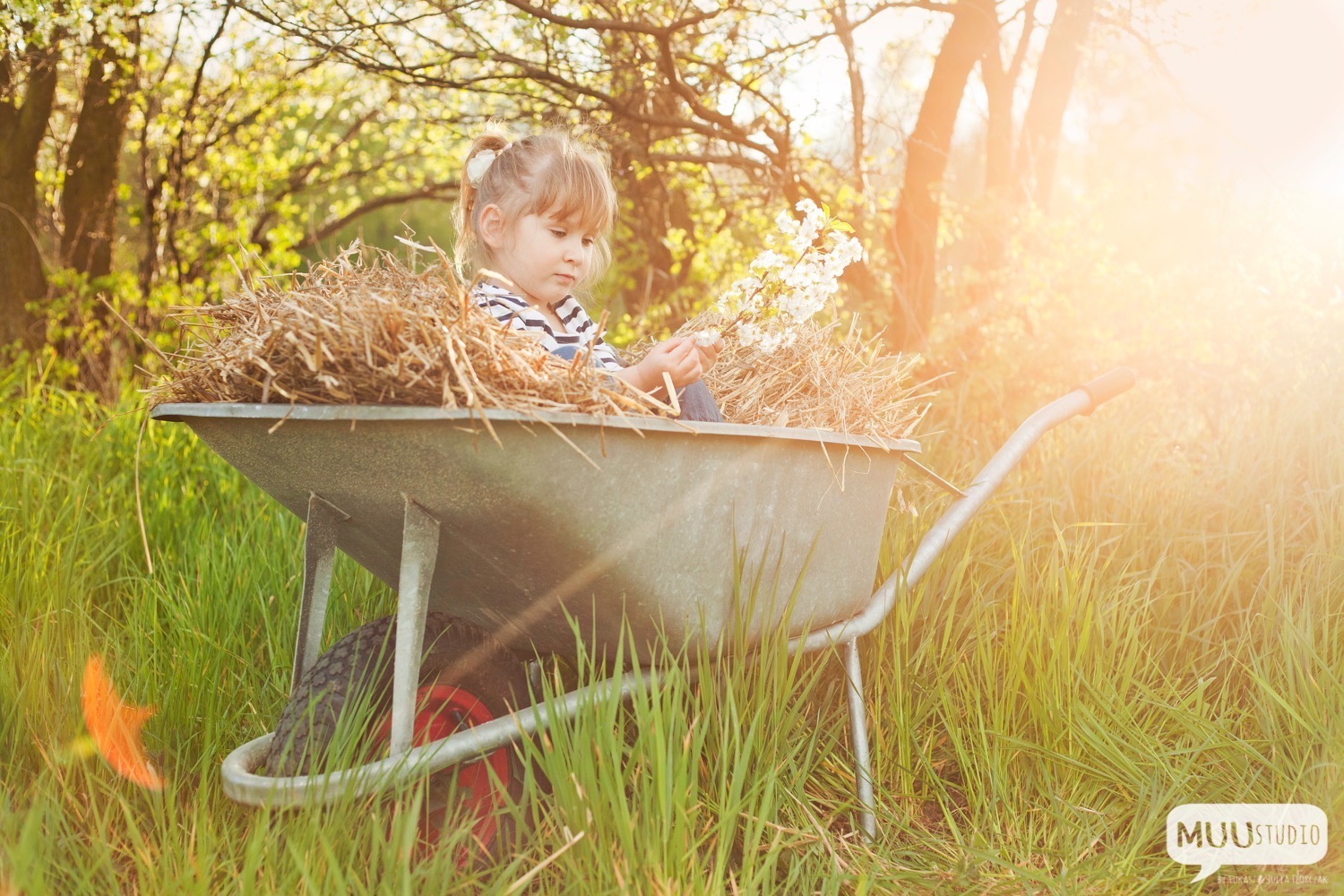 sesja dziecięca w plenerze zawiercie