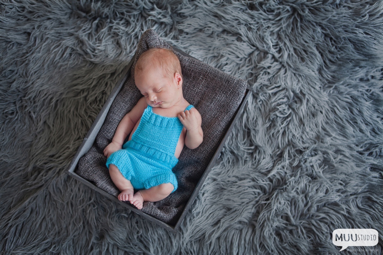 fotografia noworodkowa zawiercie