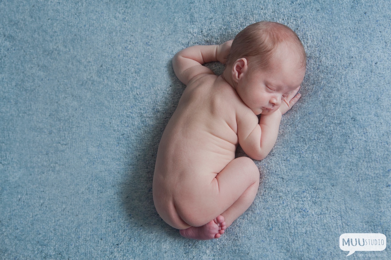 fotografia noworodkowa częstochowa