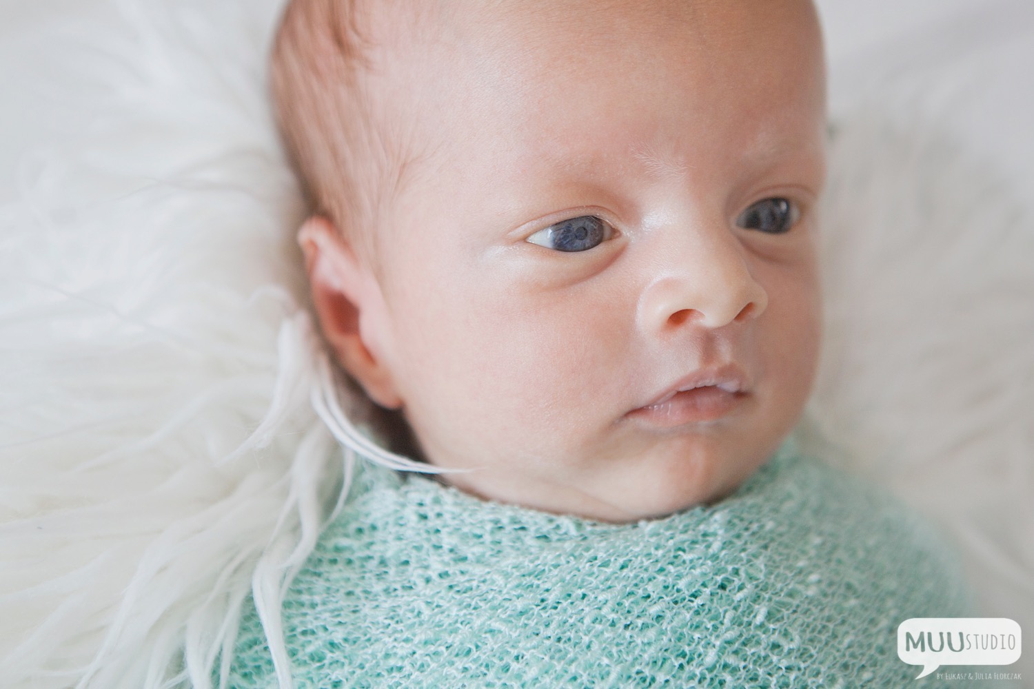 fotografia noworodkowa zawiercie