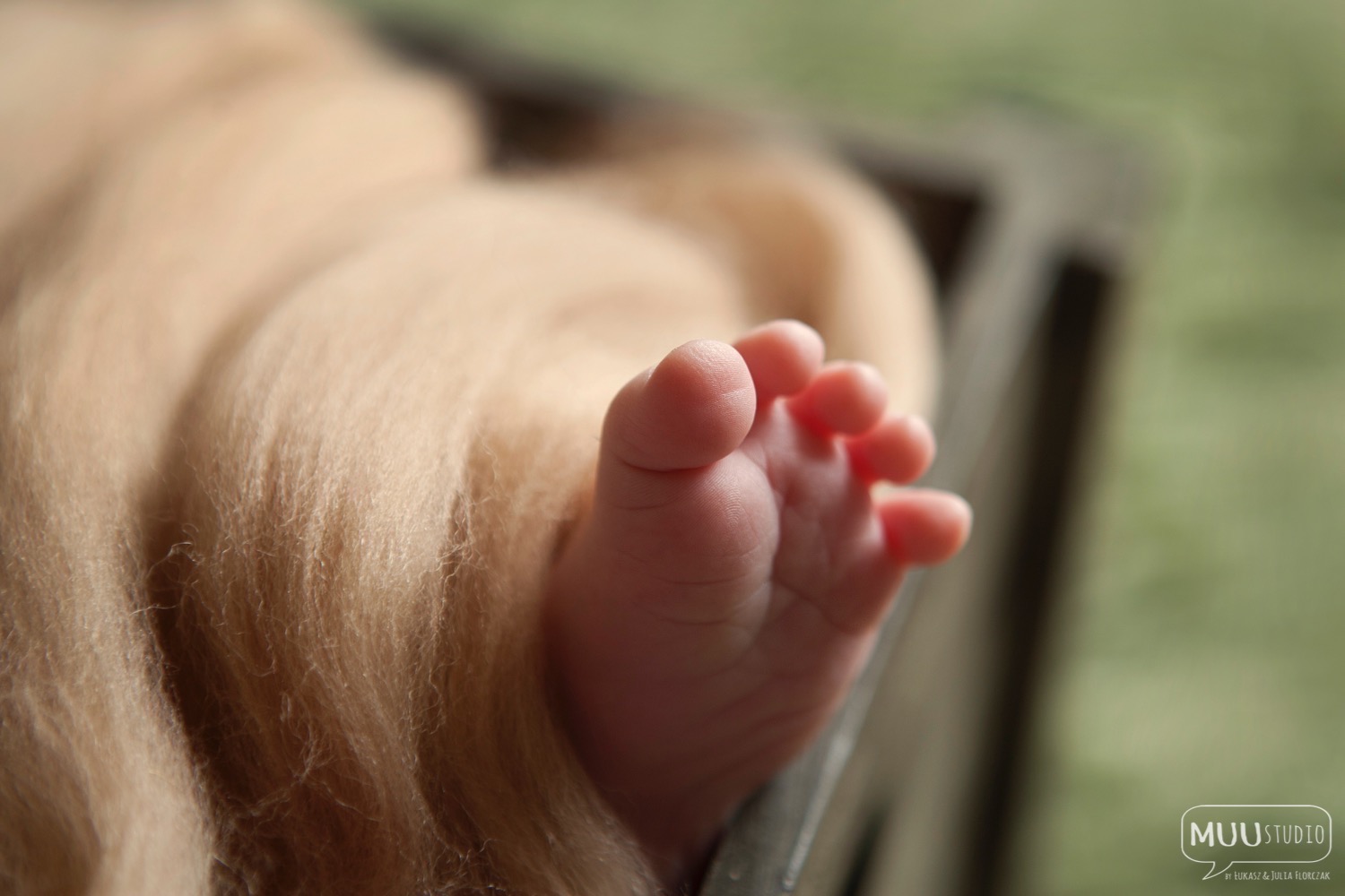 fotografia noworodkowa zawiercie