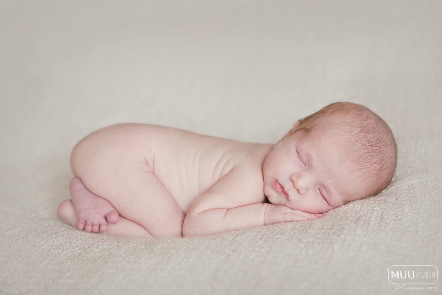 fotografia noworodkowa zawiercie