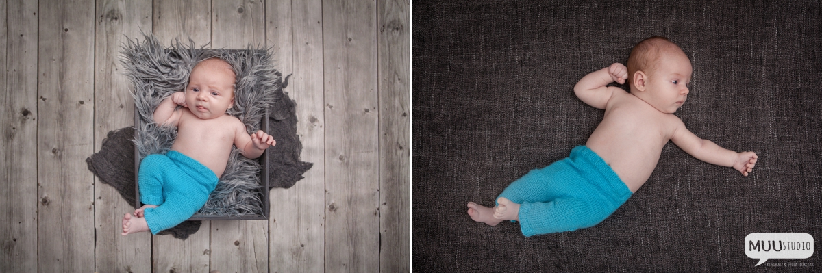 fotografia niemowlęca śląsk