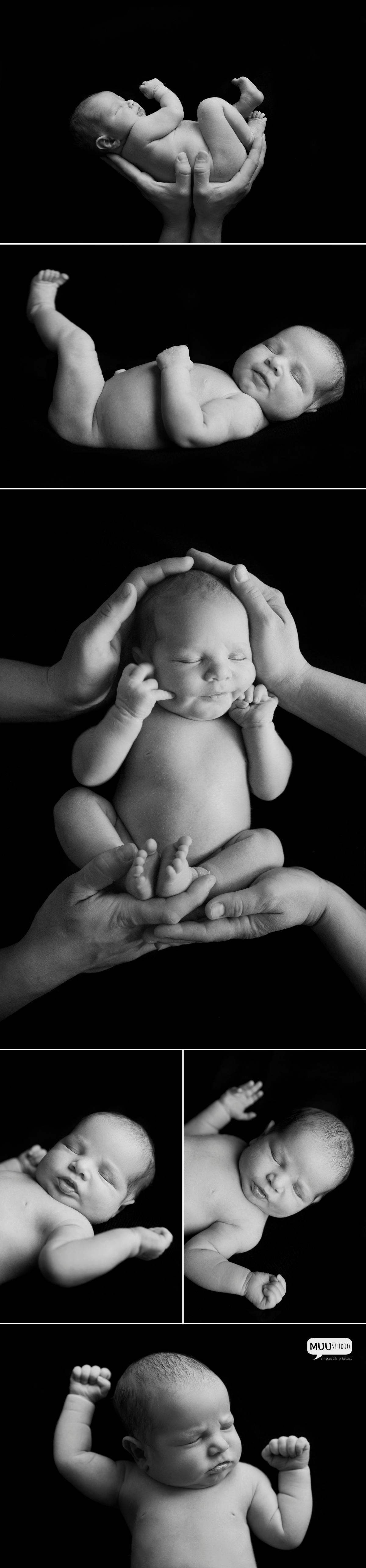 naturalna fotografia noworodkowa zawiercie