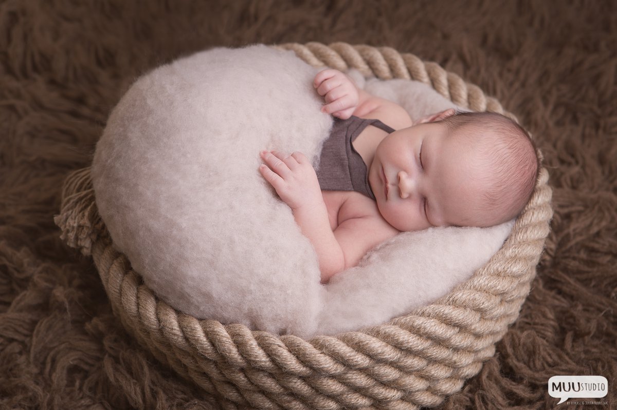fotografia noworodkowa zawiercie