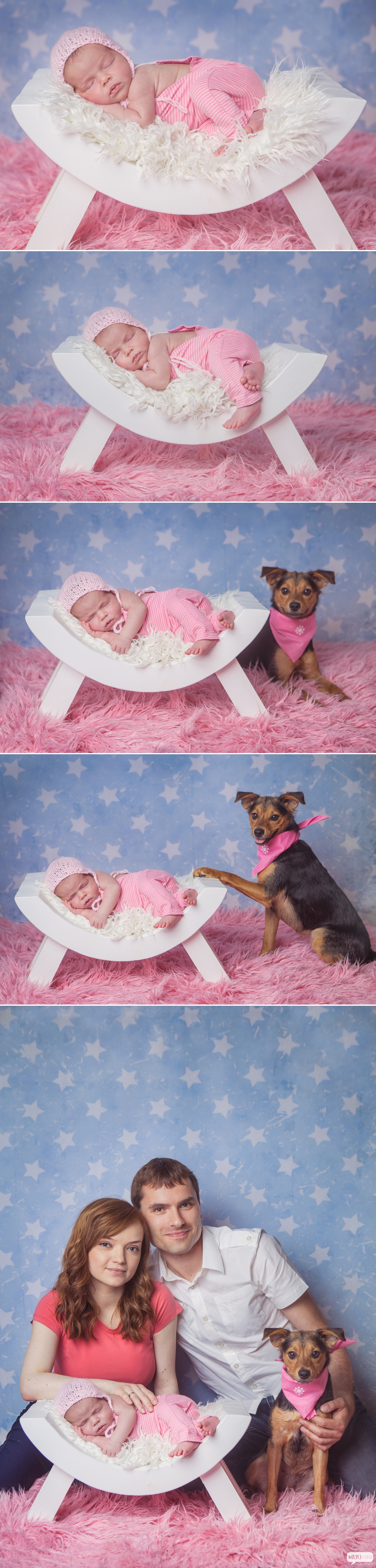 zdjęcia noworodka ze zwierzakiem